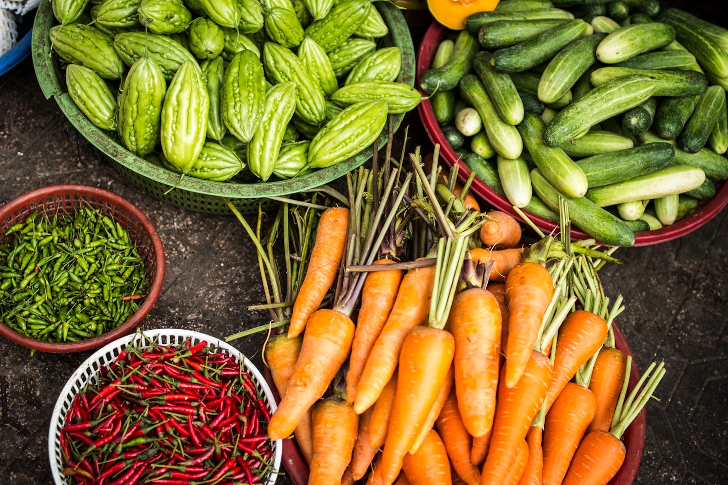 Balanced Diets: Fueling Your Fitness Goals
